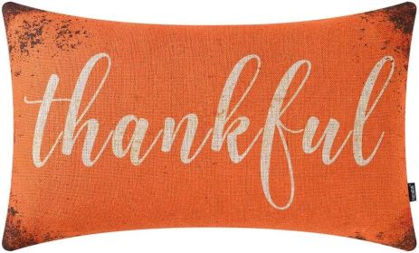 TRENDIN Farmhouse Fall Pillow Cover 20x12 inch Orange Word Thankful Throw Pillow Cover for Autumn Decor Fall Decorations for Couch Sofa PL551TR